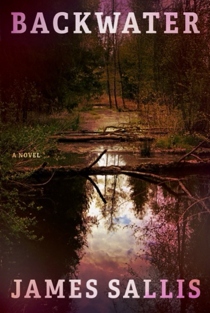 Backwater  book cover